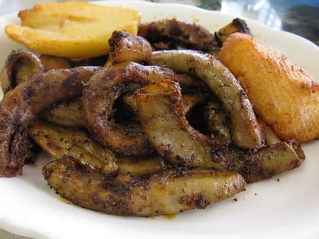 Choncholíes
