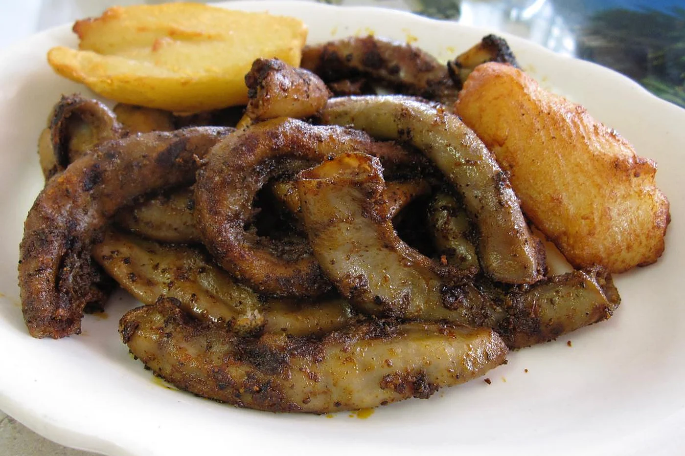 Choncholíes
