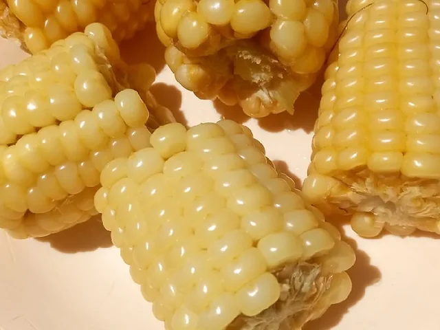 Tinkhobe (maíz entero hervido)