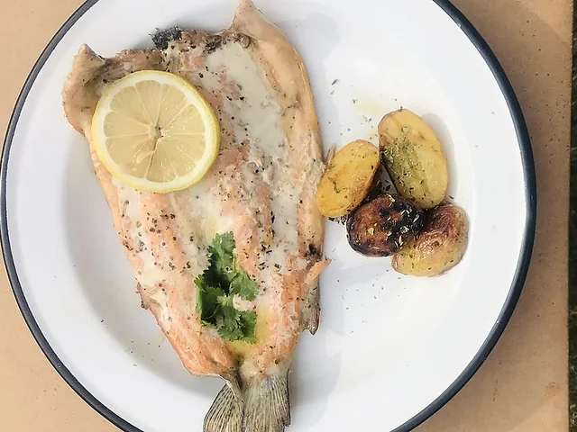 Trucha patagónica
