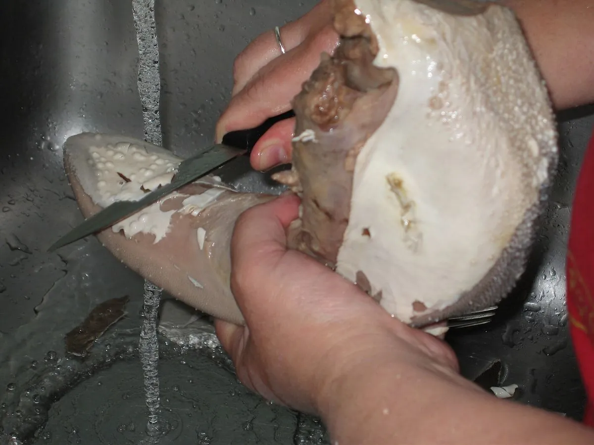 Lengua