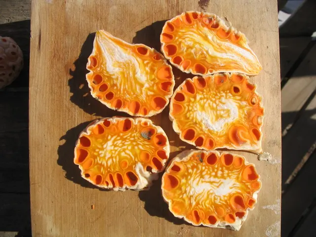 Ensalada de digüeñes