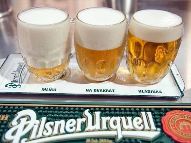 Pilsner checa