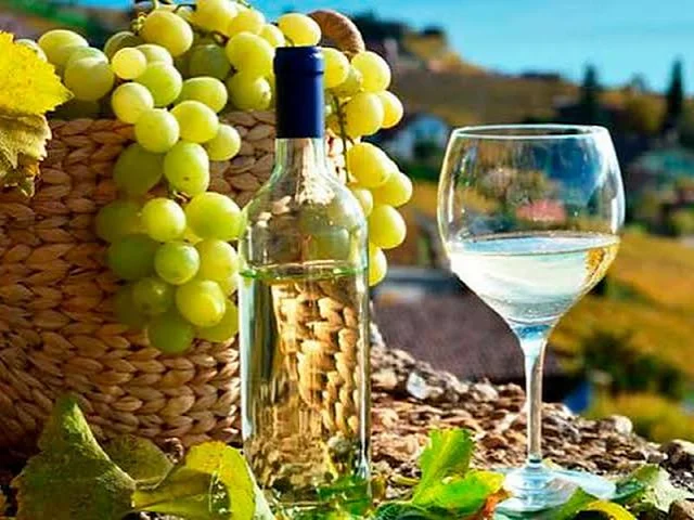Pisco peruano