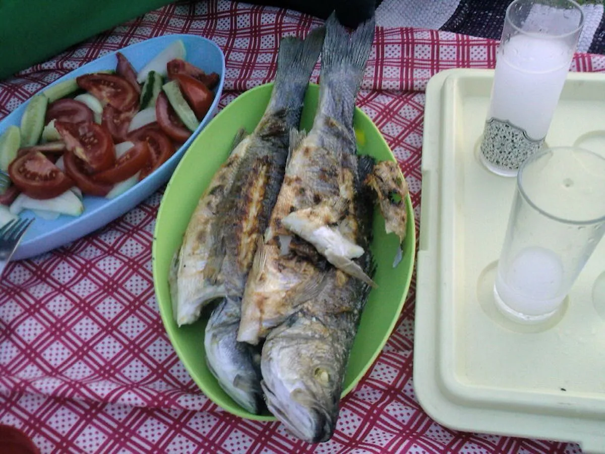 Rakı