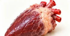 Corazón
