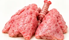 Bofe (pulmones)