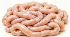Intestinos