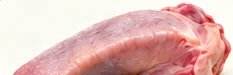 Lengua