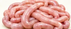 Intestino delgado