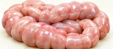 Intestino grueso