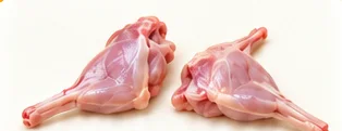 Paleta / pata delantera