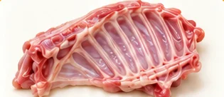 Costillar