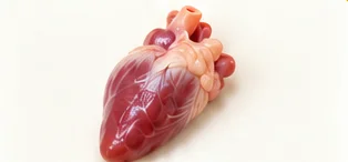 Corazón