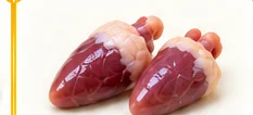 Corazón