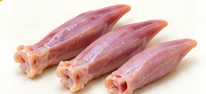Lengua