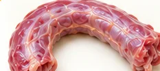 Cogote
