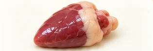 Corazón