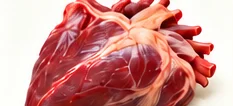 Corazón